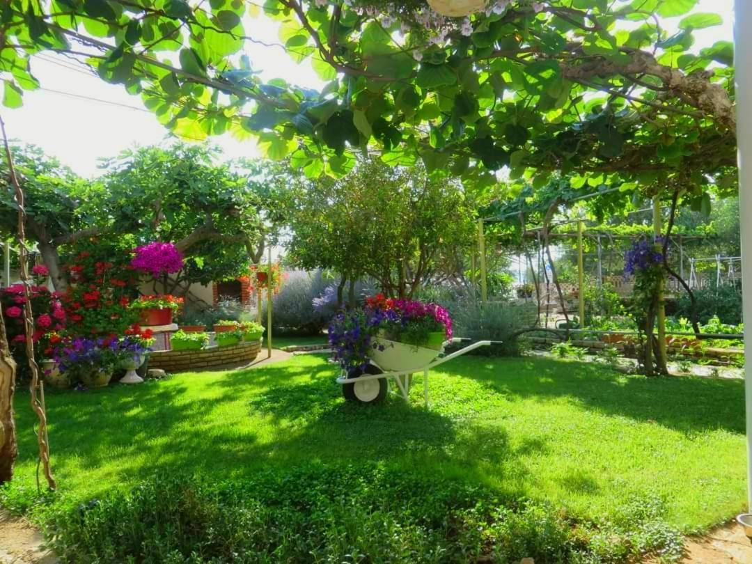 ביוגראד נה מורו Beach Apartment Roza Biograd Oneroom - Premium Location מראה חיצוני תמונה