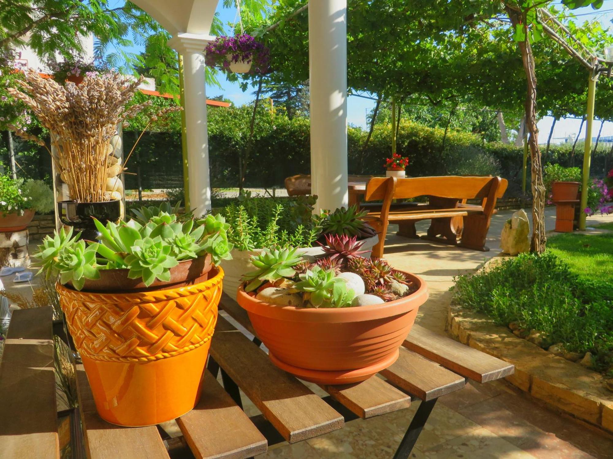 ביוגראד נה מורו Beach Apartment Roza Biograd Oneroom - Premium Location מראה חיצוני תמונה