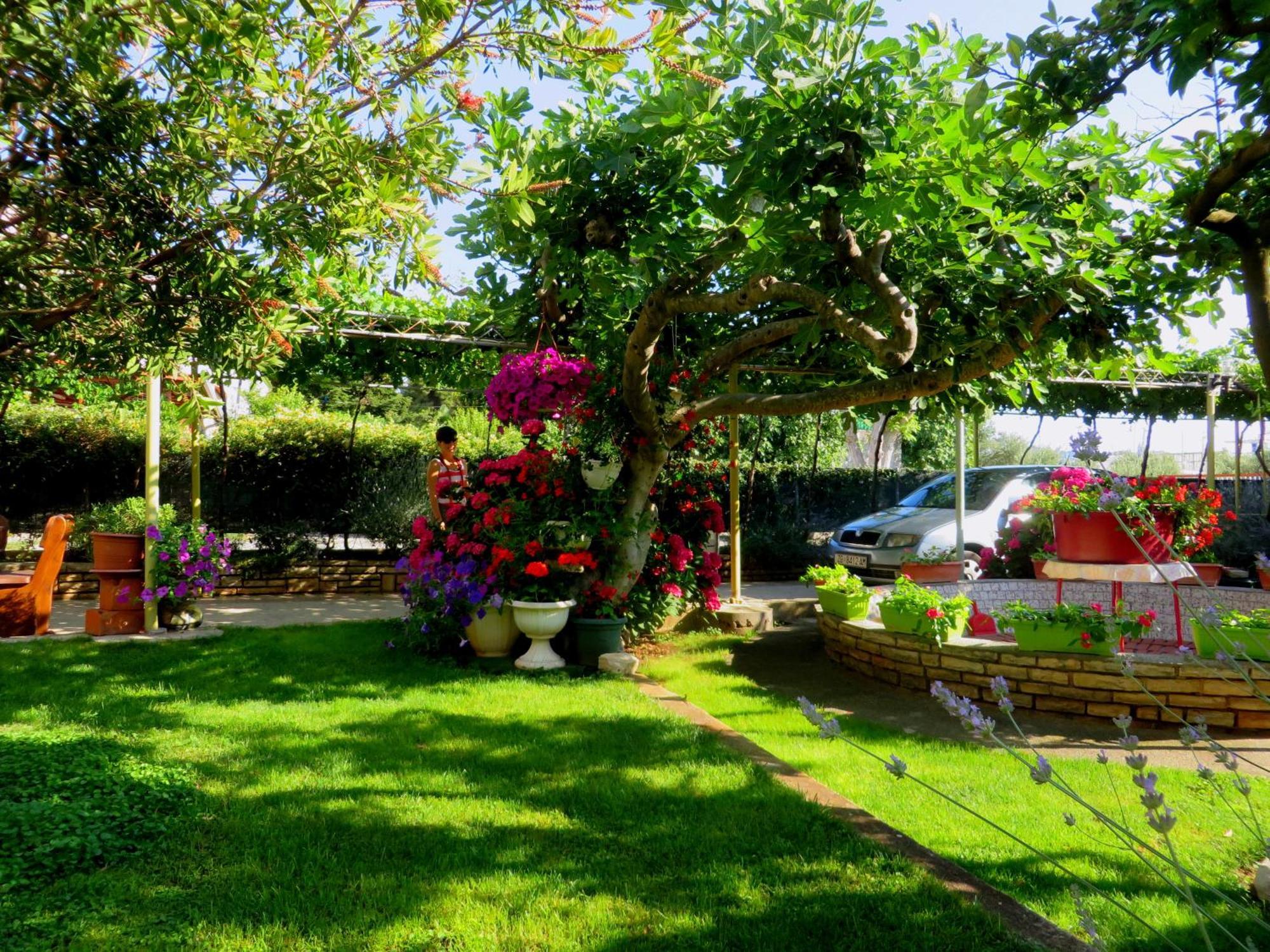 ביוגראד נה מורו Beach Apartment Roza Biograd Oneroom - Premium Location מראה חיצוני תמונה